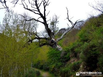 Burgos,Cantabria,Palencia Senderismo; lugares para visitar en madrid pueblos con encanto madrid amis